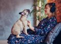 Finding Harmony: Balancing Music, Life, and a Corgi in the Studio
