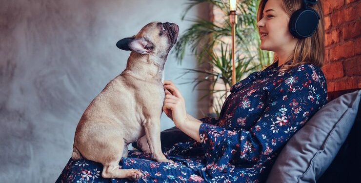 Finding Harmony: Balancing Music, Life, and a Corgi in the Studio