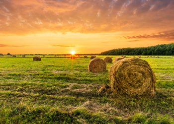 Powering Northeast Ohio: Your Source for Tractors, Farm, and Construction Equipment