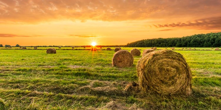 Powering Northeast Ohio: Your Source for Tractors, Farm, and Construction Equipment