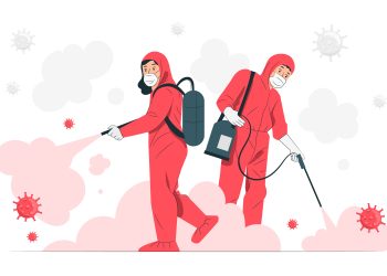 Why Do I See More Bugs After Pest Control?