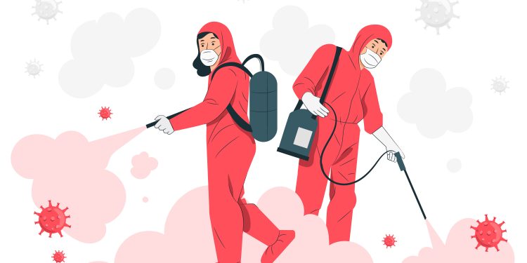 Why Do I See More Bugs After Pest Control?