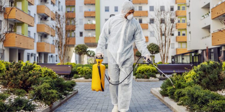 Safeguarding Your Property: A Guide to Mold Removal in Manhattan