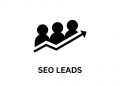 seo leads