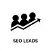seo leads