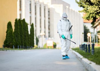 Do Pest Control Services Get Rid of Ants?