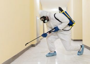 What Do Professional Pest Controls Use for Rodents?