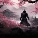 Samuraitoto: The Rise of a Gaming Phenomenon