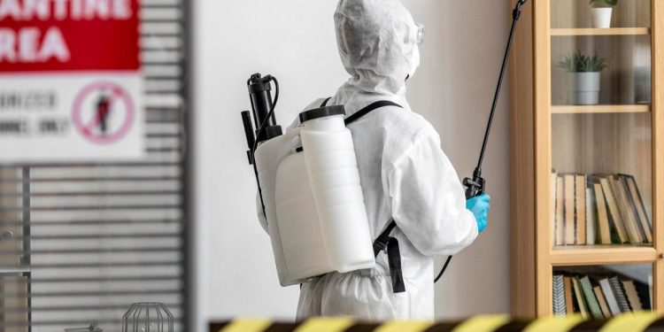 Is Hiring a Pest Control Service Worth It? Can I Do It Myself?