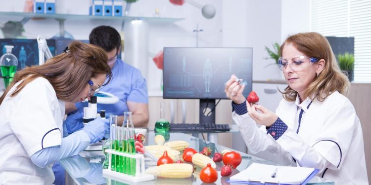 Exploring the Potential of White Resistant Dextrin in Modern Nutrition