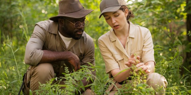 Hidden Discounts You Might Be Missing on State Farm Insurance Near Me