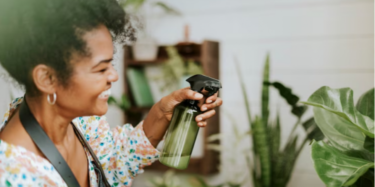 How Much Does Pest Control for My Washington Home Cost?