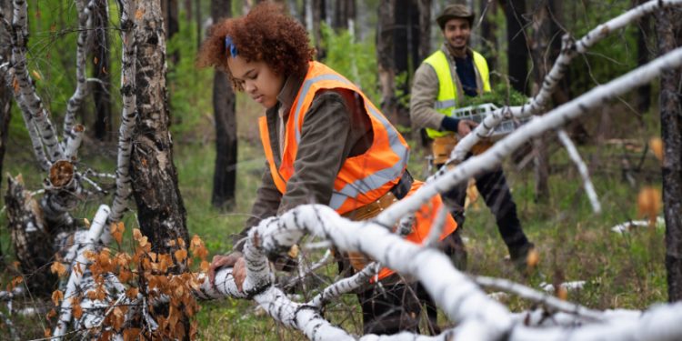 Protecting Your Property with Reliable Emergency Tree Removal in Lawrence