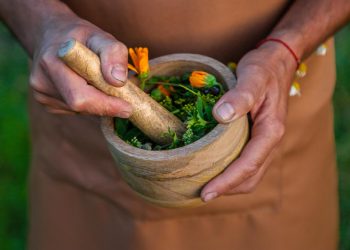 Herbal Support for Kidney Health: A Holistic Approach to Wellness