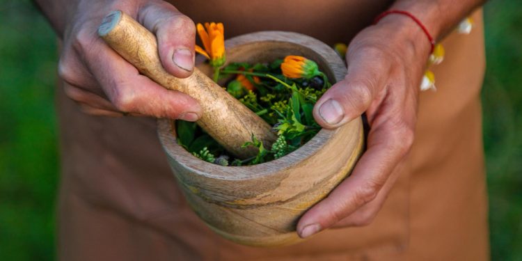 Herbal Support for Kidney Health: A Holistic Approach to Wellness