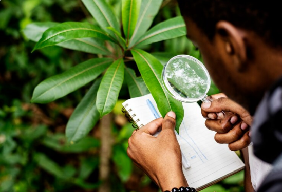 Regulatory Landscape in South Africa: Solvent Use, Emissions and Compliance