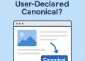 Article feature image with title " What is User-Declared Canonical"