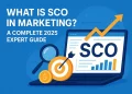Feature title " What is SCO in Marketing"