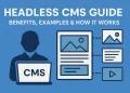 Feature image for blog title Headless CMS Guide