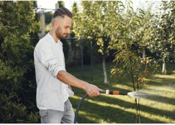 Planning Smarter Watering Solutions for Stronger Lawns