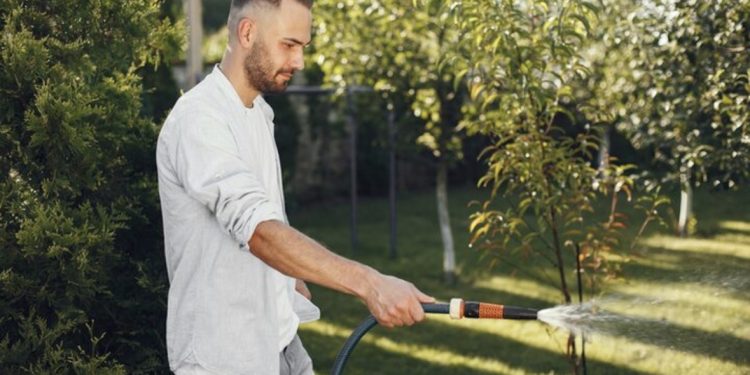 Planning Smarter Watering Solutions for Stronger Lawns