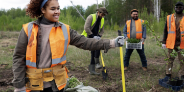 How to Handle Septic System Emergencies