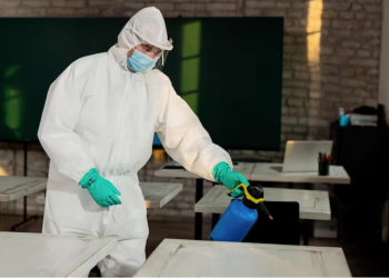 Why Professional Rat Control is More Effective Than DIY