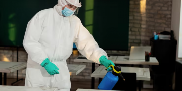 Why Professional Rat Control is More Effective Than DIY