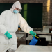 Why Professional Rat Control is More Effective Than DIY