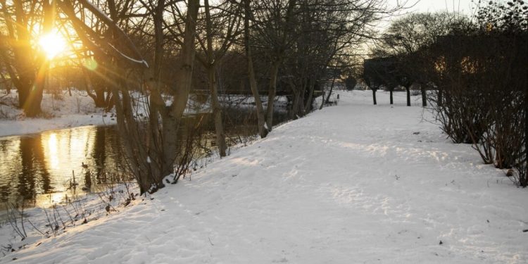 Eco‑Friendly Snow Removal Solutions for Hamilton: Reducing Salt Use Without Sacrificing Safety