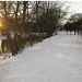Eco‑Friendly Snow Removal Solutions for Hamilton: Reducing Salt Use Without Sacrificing Safety