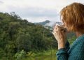Everything to Know Before Cameron Highlands